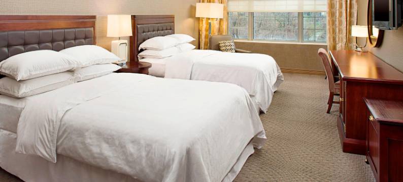 洛克维尔喜来登酒店(Sheraton Rockville)图片