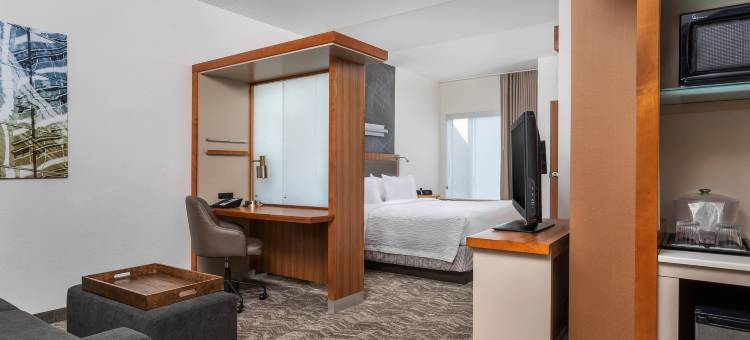 查塔努加市中心/卡梅隆港万豪SpringHill酒店(SpringHill Suites Chattanooga Downtown/Cameron Harbor)图片