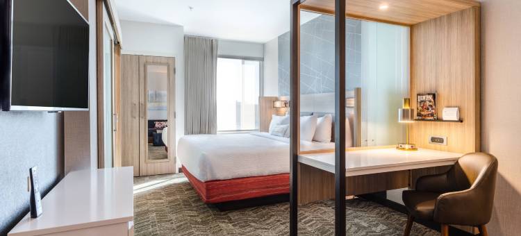 哥伦比亚SpringHill Suites酒店(SpringHill Suites Columbia)图片