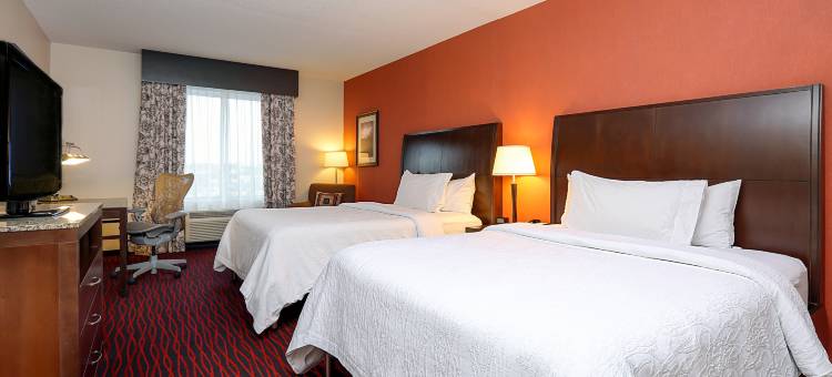 纽约州克利夫顿公园希尔顿花园酒店(Hilton Garden Inn Clifton Park)图片