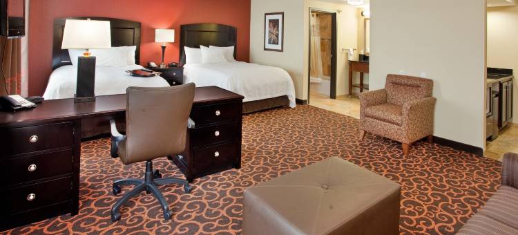 迪金森欢朋套房酒店(Hampton Inn & Suites Dickinson)图片