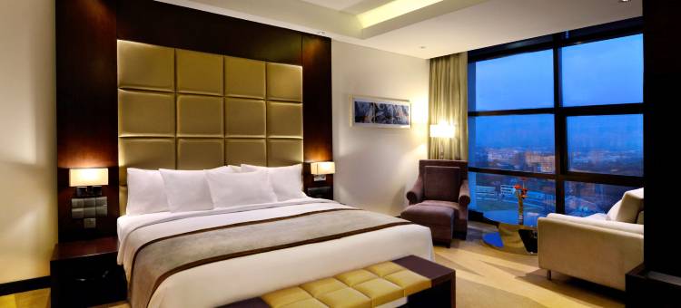 吉大港湾丽笙蓝标酒店(Radisson Blu Chattogram Bay View)图片