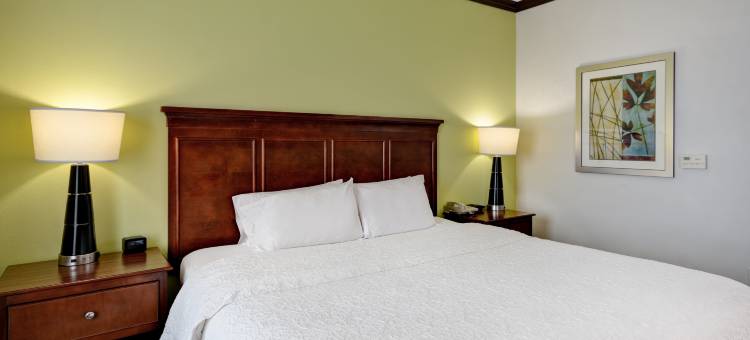 圣安东尼奥/东北I-35欢朋酒店及套房(Hampton Inn & Suites San Antonio/Northeast I-35)图片