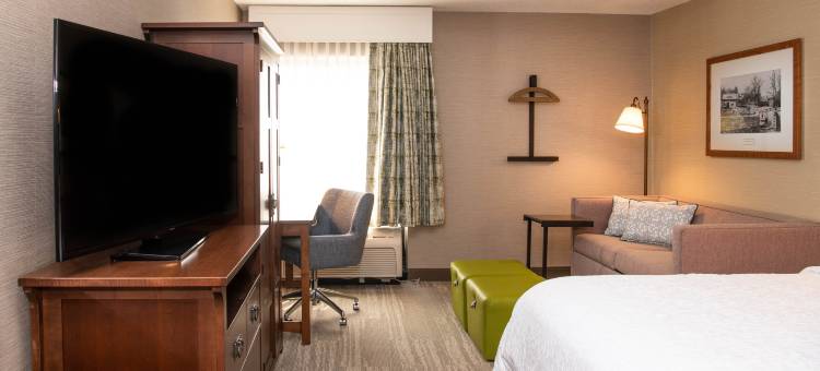 罗切斯特/维克特欢朋酒店及套房(Hampton Inn & Suites Rochester/Victor)图片