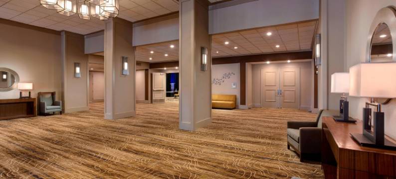 休斯顿乔治布什洲际机场万豪酒店(Houston Airport Marriott at George Bush InterContinental)图片