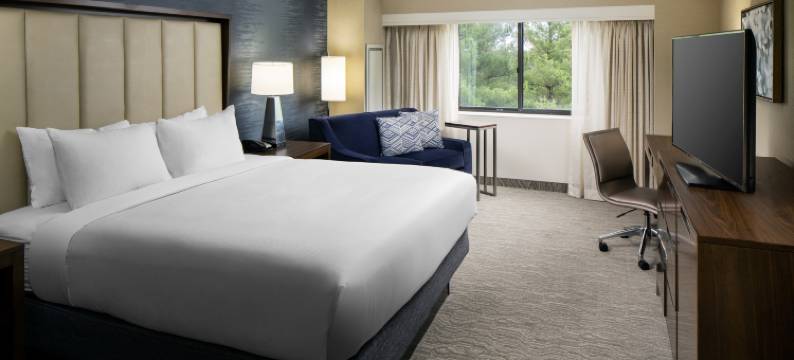 那什沃希尔顿逸林酒店(Doubletree by Hilton Nashua)图片