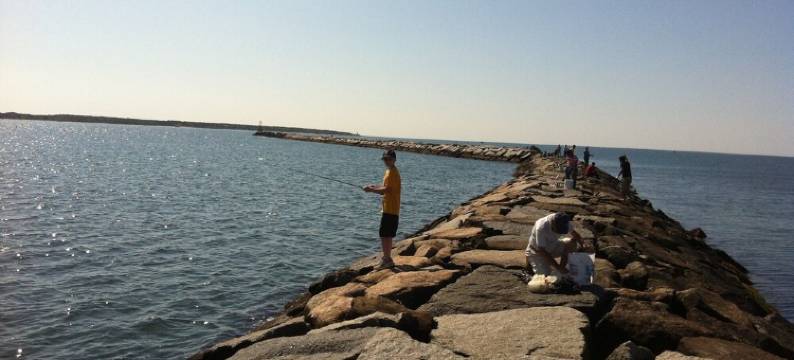 Private Beach on Nantucket Sound - Walk to Beach, Town, Harbor!图片