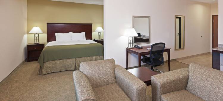 智选假日套房酒店布朗菲尔德(Holiday Inn Express & Suites Brownfield)图片