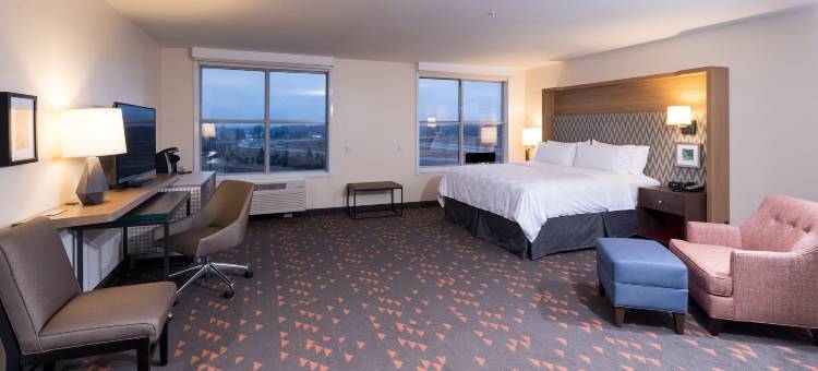 洲际酒店集团假日酒店及套房底特律 - 特洛伊(Holiday Inn & Suites Detroit - Troy)图片