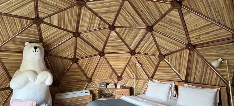 ISBJORN清道(Isbjorn Chiangdao)图片