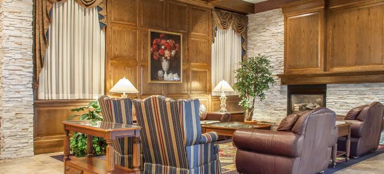 舒适酒店-伦迪巷(Comfort Inn Lundy's Lane)图片