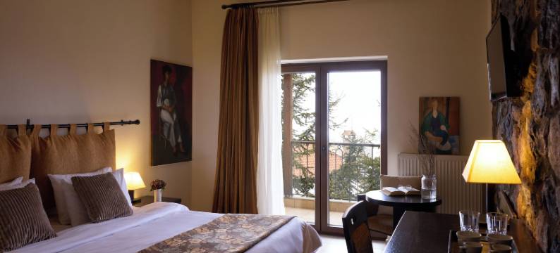 奈维山多莫特度假酒店(Domotel Neve Mountain Resort)图片