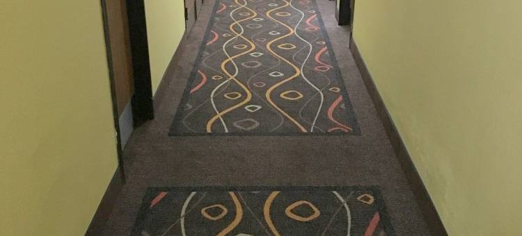 纽波特纽斯-杰斐逊大道速8酒店(Super 8 by Wyndham Newport News/Jefferson Ave.)图片