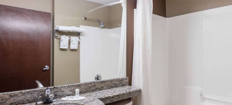 温德姆梅肯麦客达套房酒店(Microtel Inn & Suites by Wyndham Macon)图片