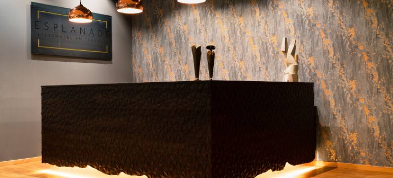 埃斯普拉纳德酒店(Hotel Esplanade)图片