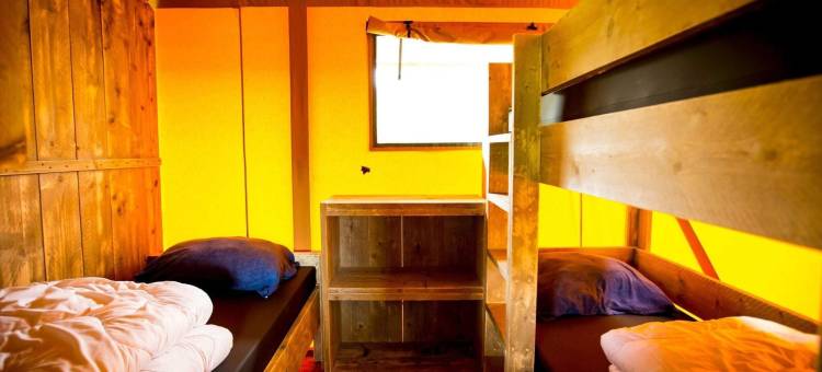 临近朗斯和杜伦斯丘的舒适帐篷小屋(Apartment in Netherlands Near Nature Trails)图片