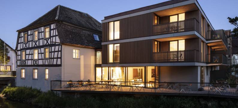 斯特恩波灵根公寓酒店(Sternen Bohlingen Aparthotel)图片