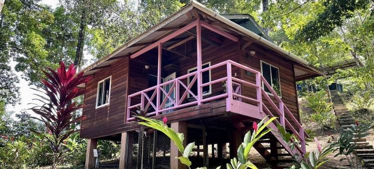 Akwaba旅馆(Akwaba Lodge)图片