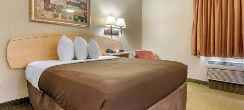 伯奇山套房南本德(Birch Hill Suites - South Bend)图片