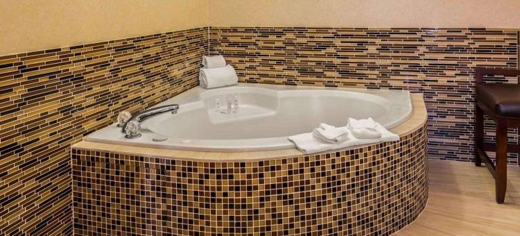 斯帕福德附近舒格兰舒适套房酒店(Comfort Suites Stafford Near Sugarland)图片