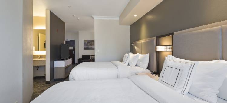 萨克拉门托纳多马斯万豪SpringHill酒店(SpringHill Suites Sacramento Natomas)图片