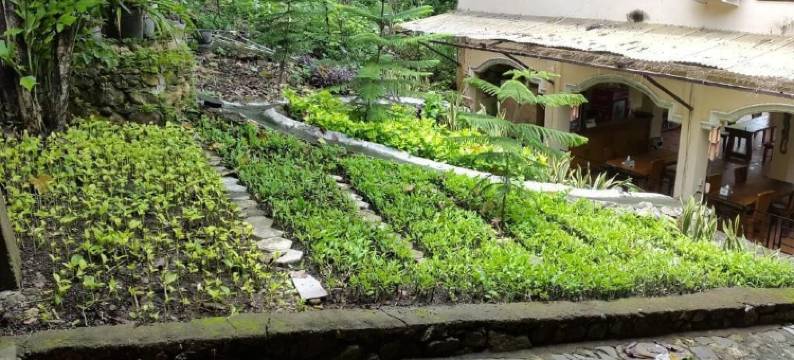 希恩特洛芭揪酒店(Centro Bajo Hotel & Resto)图片