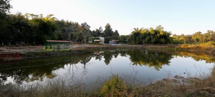 甘哈度假村(Kanha Resort)图片