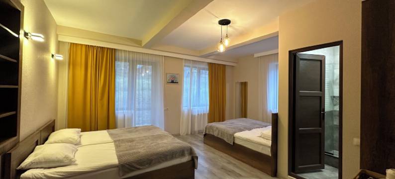 阿克塞恩酒店(Hotel Axien Kazbegi)图片