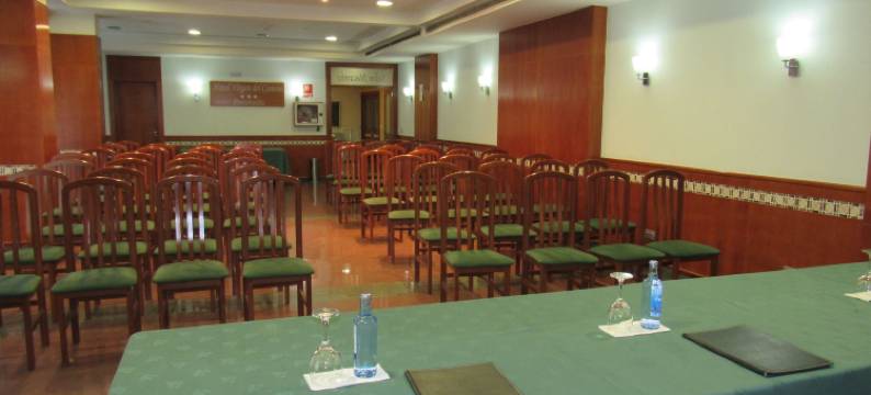 卡米诺旁特维得拉酒店(Hotel Virgen del Camino Pontevedra)图片