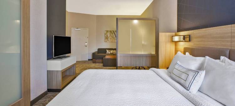 匹兹堡巴特勒中城SpringHill Suites酒店(SpringHill Suites Pittsburgh Butler/Centre City)图片