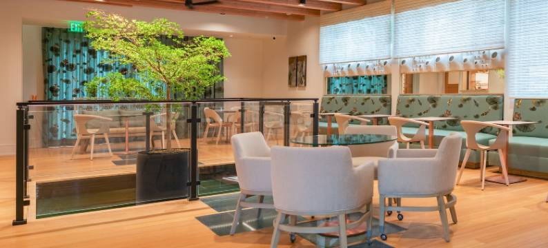 おかえり卡利斯托加(Okaeri Calistoga)图片