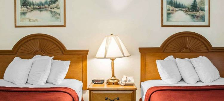 罗切斯特南宜必思酒店(Quality Inn Rochester South)图片