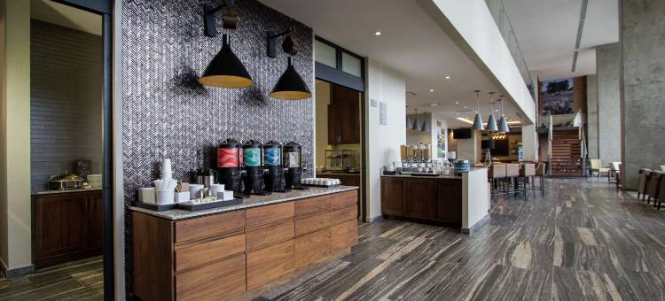 费斯塔酒店套房巴希奥机场(Fiesta Inn Suites Aeropuerto del Bajío)图片