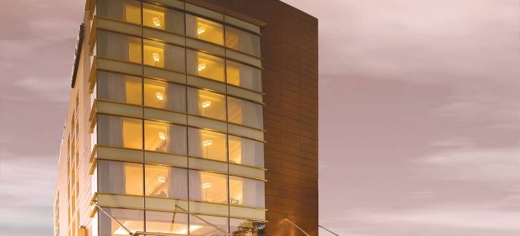 古尔冈丽柏酒店(Park Inn Gurgaon)图片