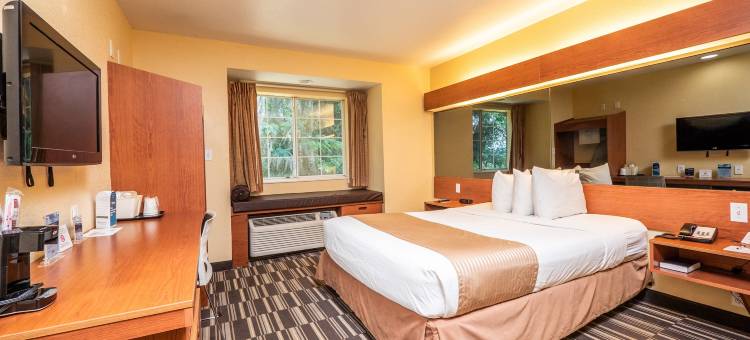 奥卡拉麦客达套房酒店(Microtel Inn & Suites by Wyndham Ocala)图片