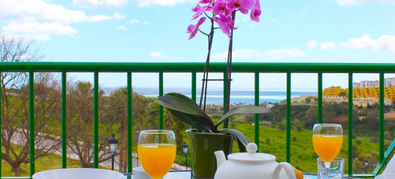 马尼尔瓦太阳公寓式酒店(Hotel Apartamentos Manilva Sun)图片