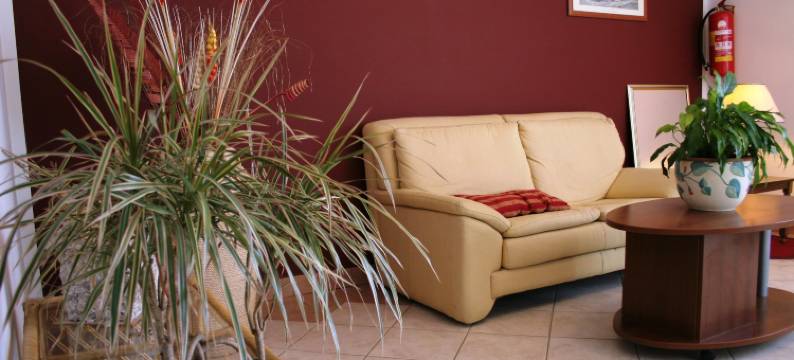 极光酒店(Hotel Aurora)图片