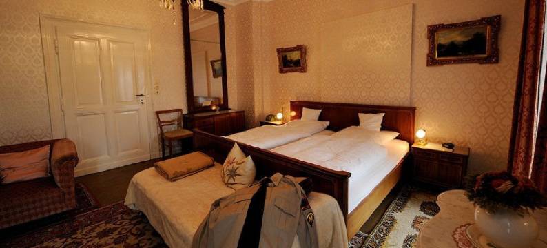 格鲁内瓦尔德别墅酒店(Hotel Villa Grunewald)图片