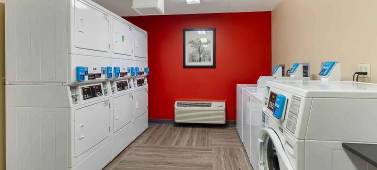 Extended Stay America 套房-芝加哥-埃尔姆赫斯特-奥黑尔(Extended Stay America Suites - Chicago - Elmhurst - O'Hare)图片