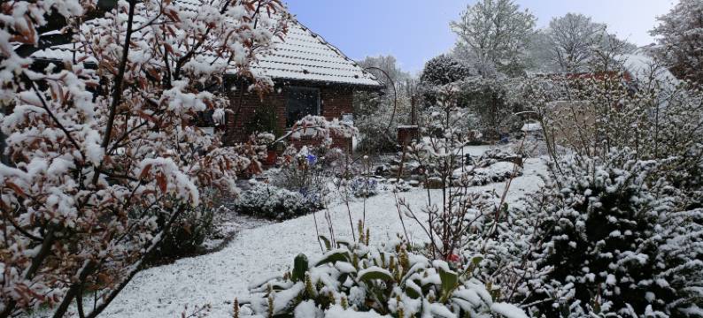 艾乌尔内斯特旅馆(Eulennest)图片