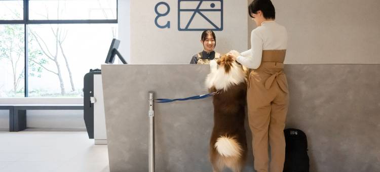 hotel anddoggy京都二条(hotel anddoggy Kyoto Nijo)图片