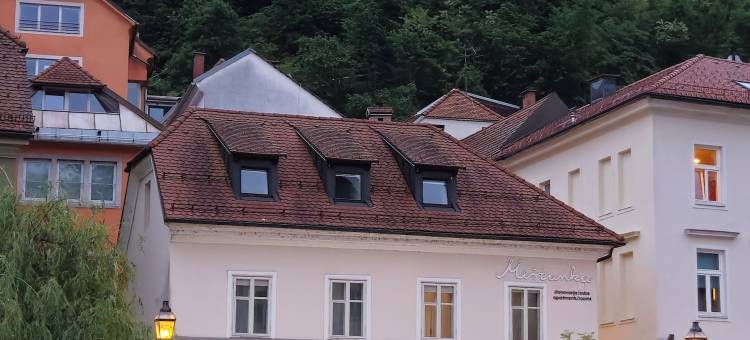 梅斯坎卡客房公寓酒店(Meščanka)图片