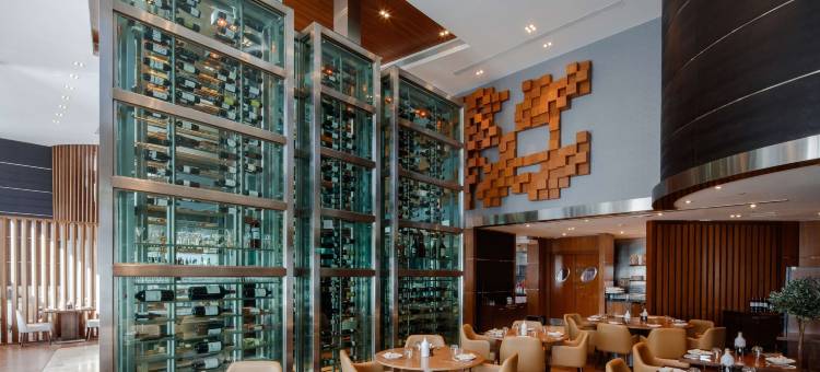 迪拜媒体城丽笙酒店(Radisson Blu Hotel, Dubai Media City)图片