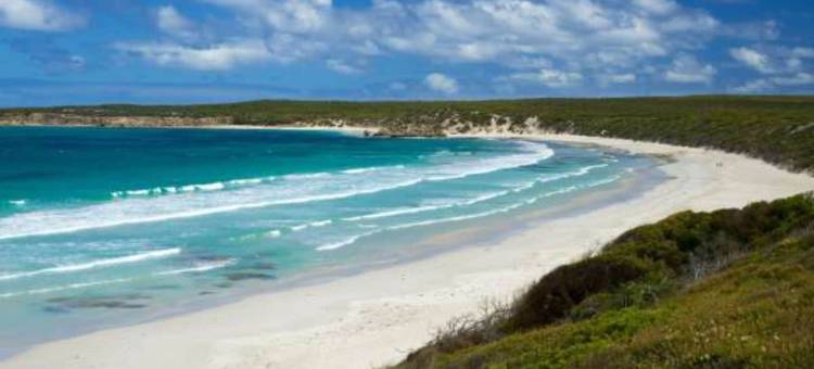 探索公园 - 袋鼠岛(Discovery Parks - Kangaroo Island)图片