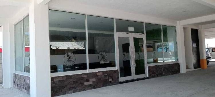 安东尼奥的米拉马尔酒店(Antonios Miramar Hotel)图片