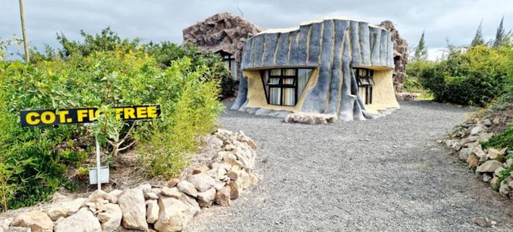 Lusoi牧场度假村(Lusoi Ranch Resort)图片