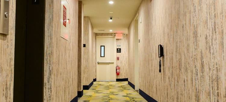 布朗克斯近植物园温德姆速8酒店(Super 8 by Wyndham Bronx Near Botanical Garden)图片