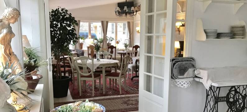 维京酒店(Hotell Viking)图片