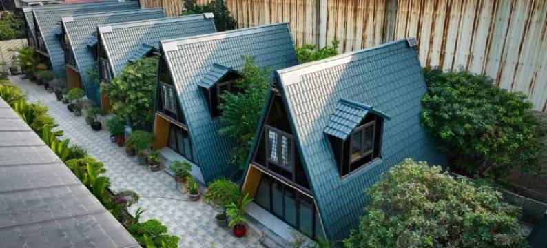 晴天花园(Sunny Garden)图片