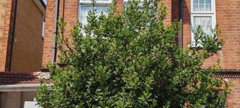 斯劳车站附近的韦尔斯利小憩(SnoozeDen Wellesley – Near to Slough Station)图片